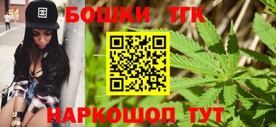 индика Рузаевка