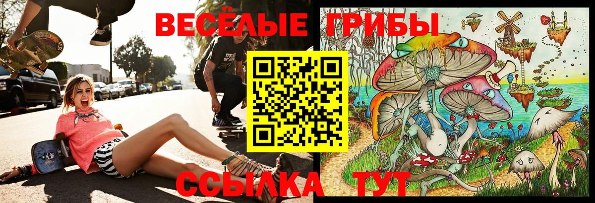 Псилоцибиновые грибы Psilocybine cubensis  Галлюциногенные грибы Psilocybine cubensis  Гусев  Вход с VPN 
