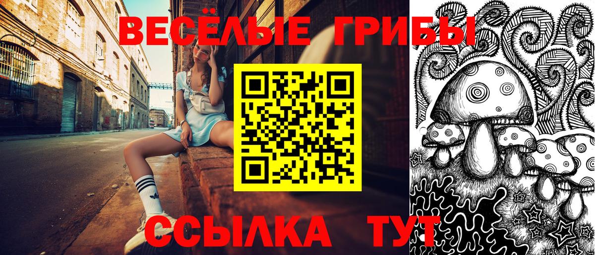Галлюциногенные грибы Cubensis Гусев